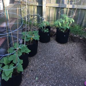 Meet your Posher, Kourtney