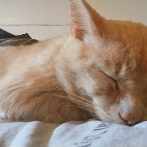 Meet your Posher, Christa