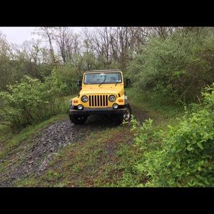 Meet your Posher, Joey