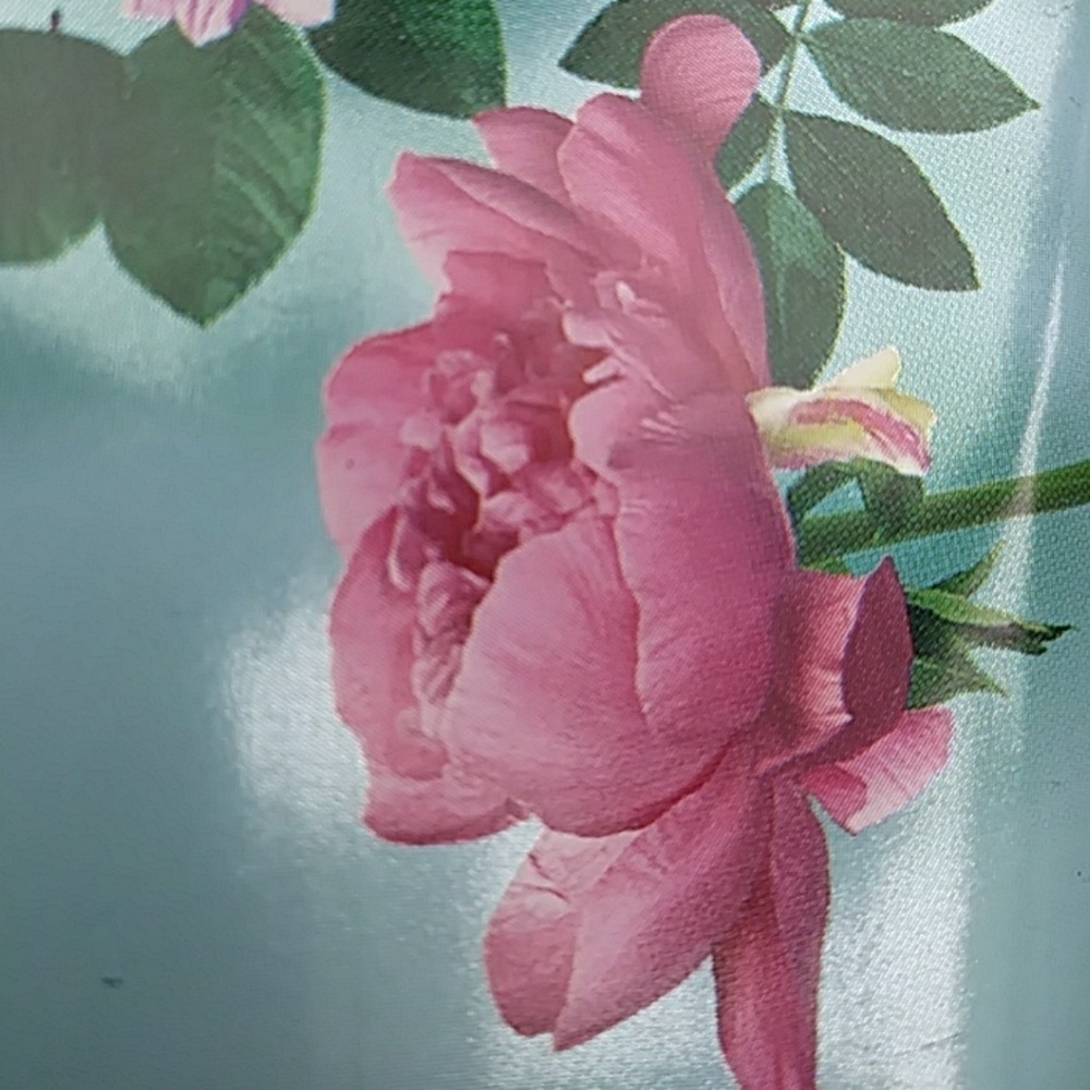 Meet your Posher, Mildred