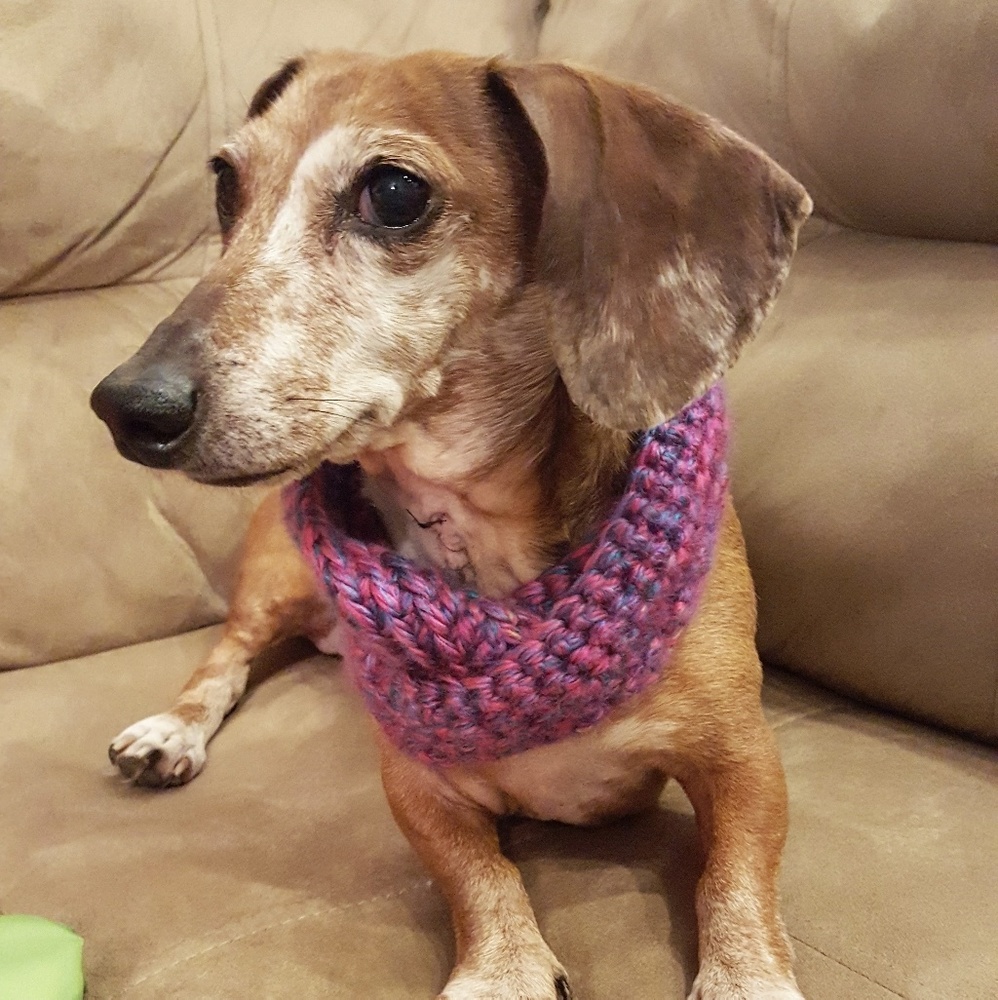 Meet your Posher, Annie