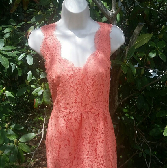 Joie - Lovely Sherbet Lace - Picture 2 of 4