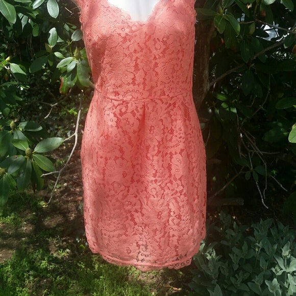 Joie - Lovely Sherbet Lace - Picture 3 of 4
