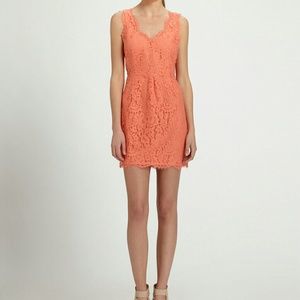 Joie - Lovely Sherbet Lace