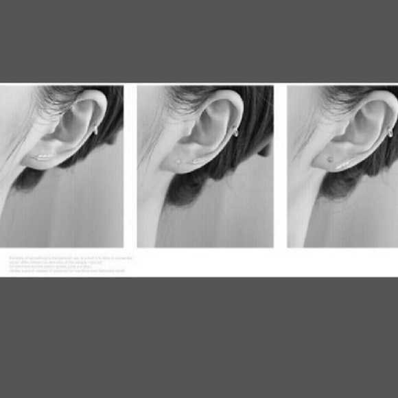 🎇HP🎆 Sterling Silver New Feather Stud Earrings - Picture 2 of 3