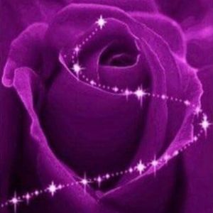 Meet your Posher, Carolyn