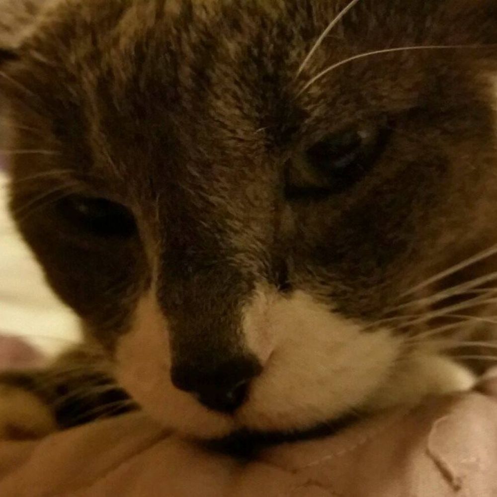 Meet your Posher, Erika