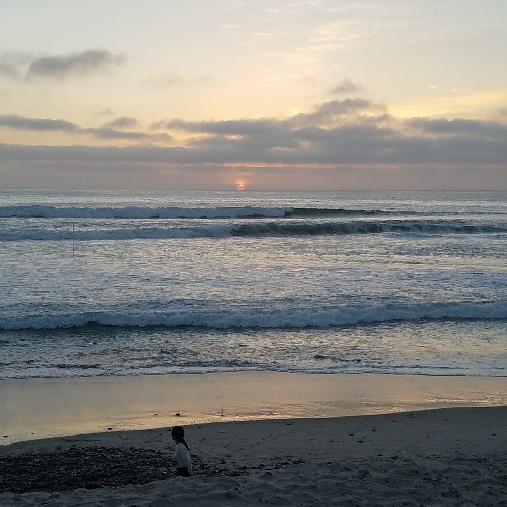 Meet your Posher, Carolina