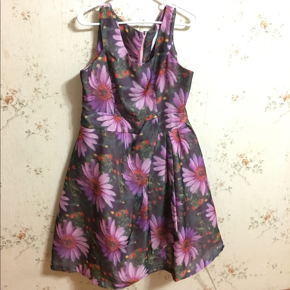 Pet friendly home. Flower dress never worn