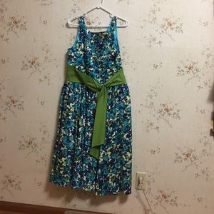 Pet friendly home. Green/blue dress never worn