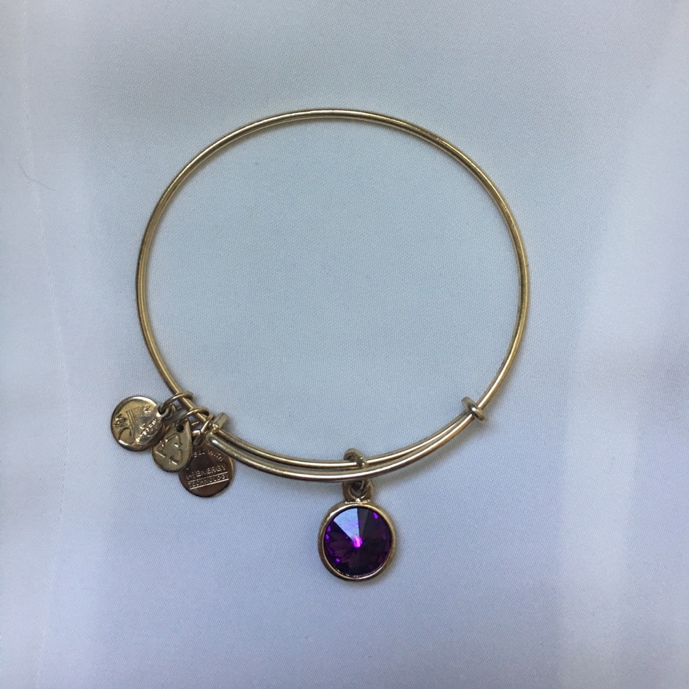 Alex & Ani February Bangle