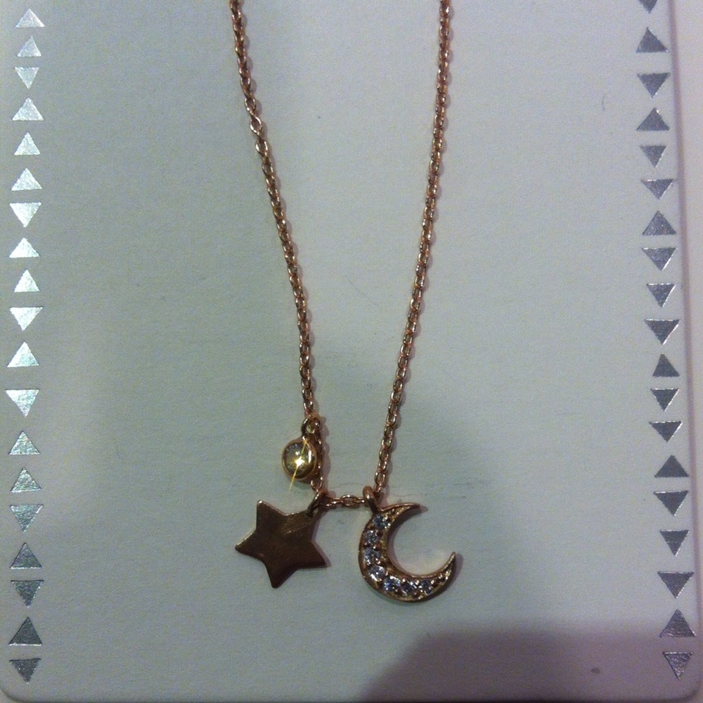 Rose Gold Plated Sterling Silver Charm Necklace