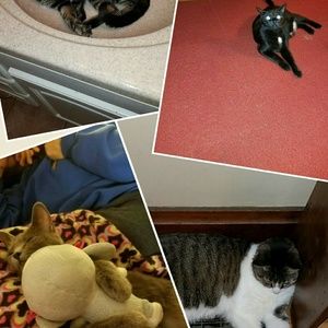 Meet your Posher, April