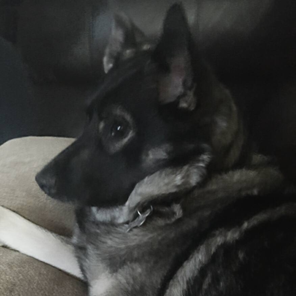 Meet your Posher, Angela