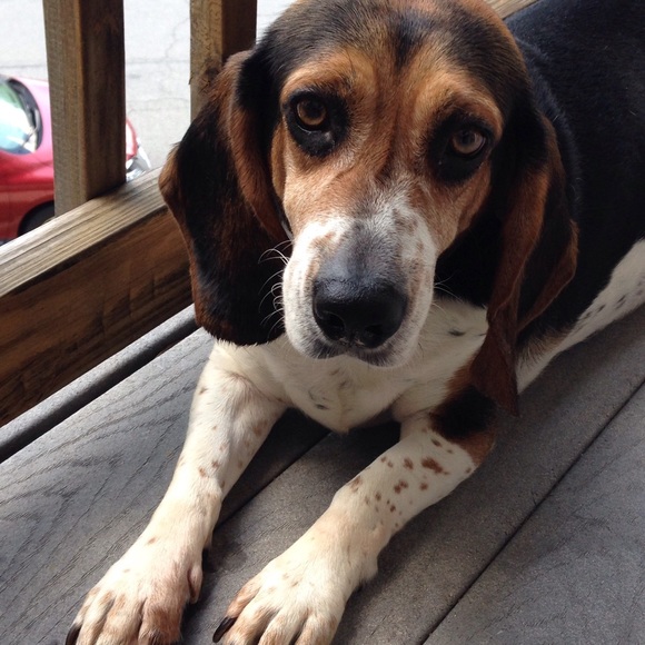 Meet your Posher, Kate - Picture 2 of 2