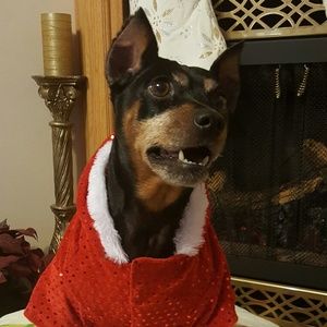 Meet your Posher, Veronica