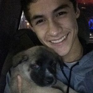 Meet your Posher, Ryan