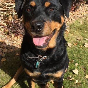 Meet your Posher, Karen