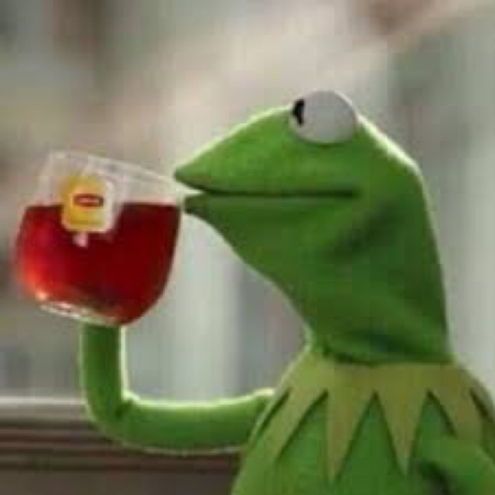 Meet your Posher, Gavin