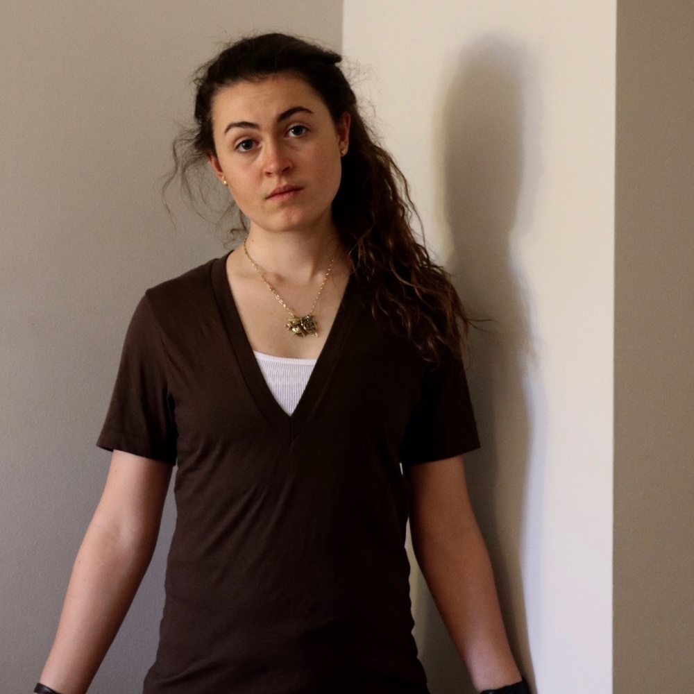 American Apparel Brown V-neck
