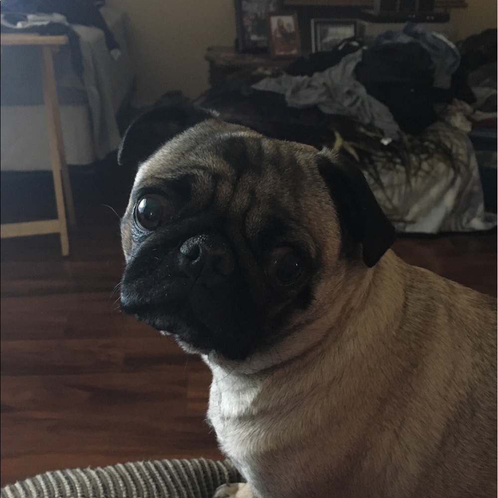 Meet your Posher, Cera