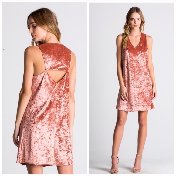 Dresses & Skirts - Terra-Cotta Crushed Velvet Slip Dress