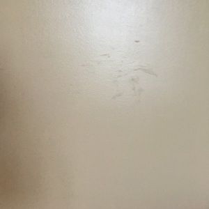 Meet your Posher, Wendy