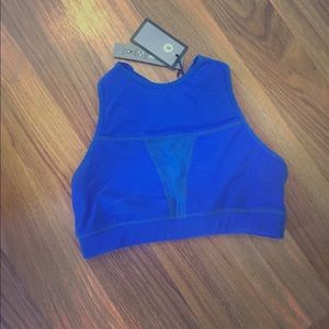 Chestee "The Tiffany" Royal Blue Sports Bra