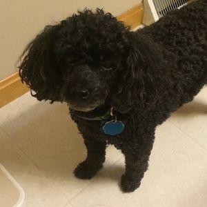 Meet your Posher, Kendra