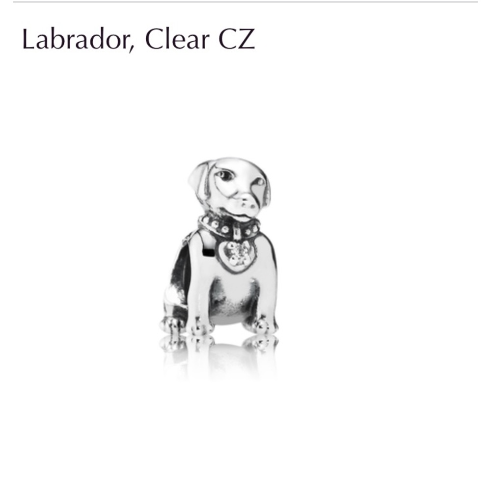 Labrador Pandora Charm AUTHENTIC