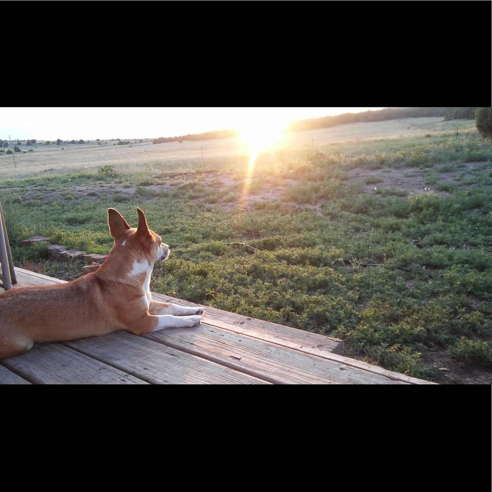 Meet your Posher, Makayla