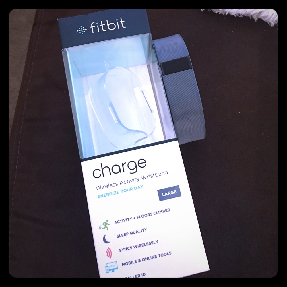 Fitbit Charge- Large, Slate