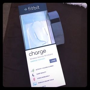 Fitbit Charge- Large, Slate