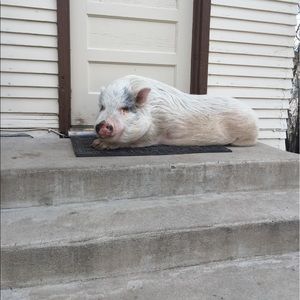 Meet your Posher, Edna