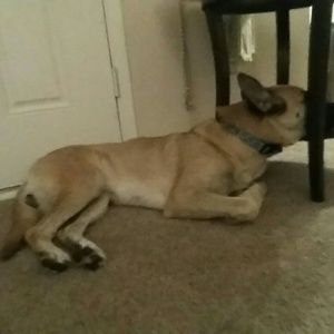 Meet your Posher, Shannon