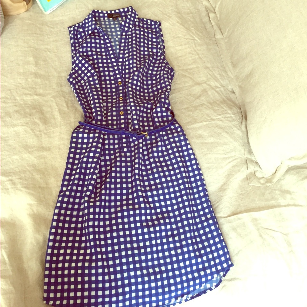 Blue & white checkered collared dress