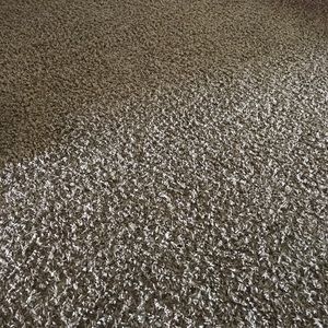 Meet your Posher, Ronella