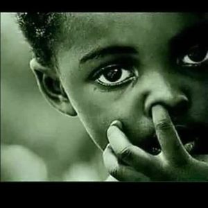 Meet your Posher, Lucy