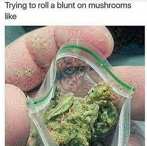 Meet your Posher, Josh