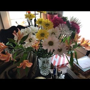 Meet your Posher, Wilma