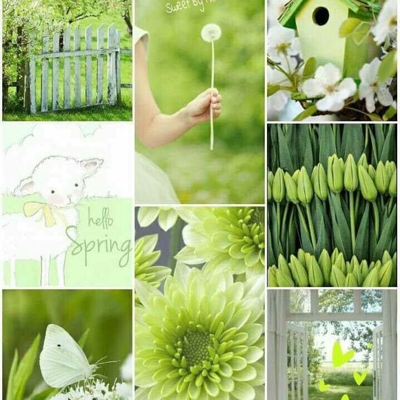 Meet your Posher, Beverly - Picture 1 of 1