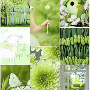 Meet your Posher, Beverly