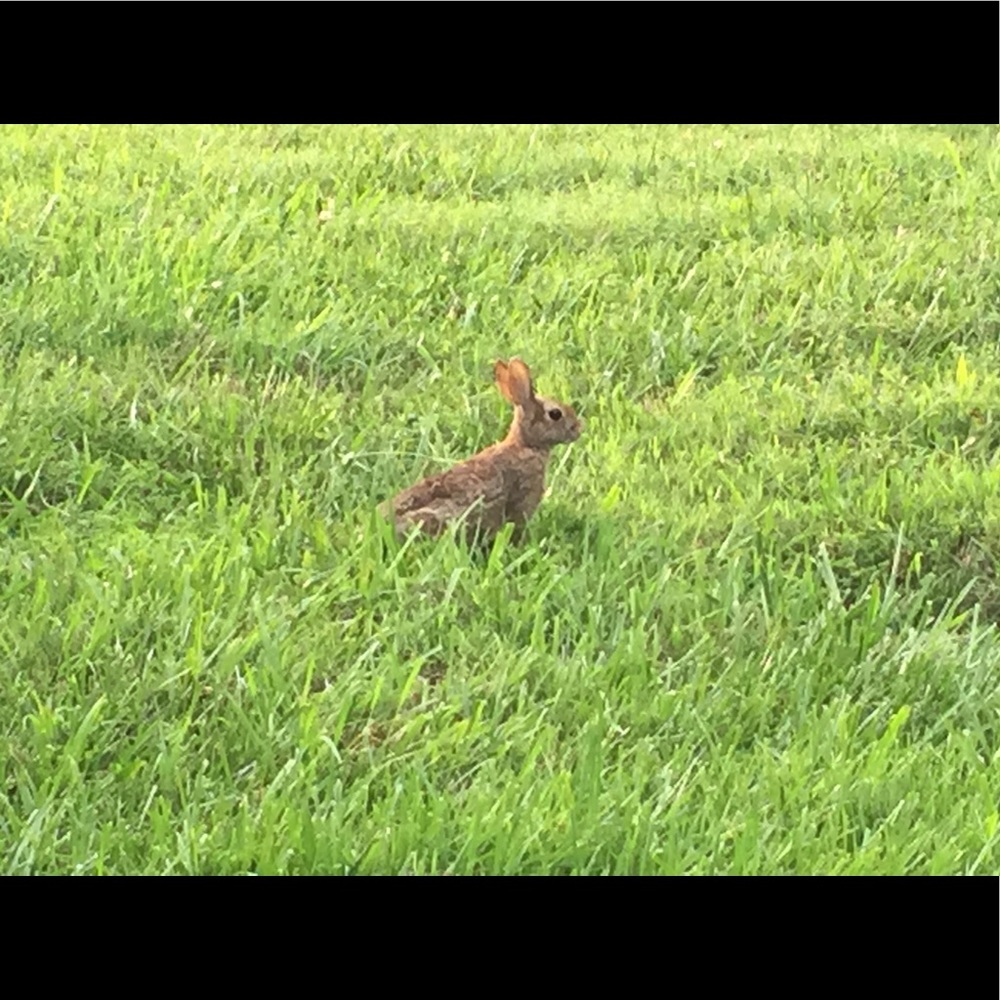 Meet your Posher, Ellen