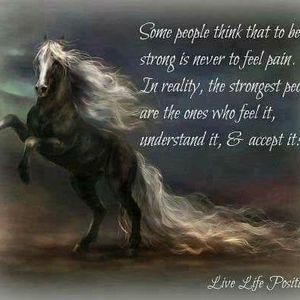 Meet your Posher, Terry