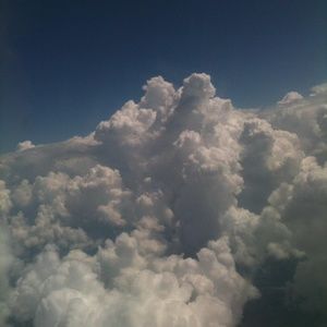 Meet your Posher, Julian