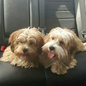 Meet your Posher, Elizabeth