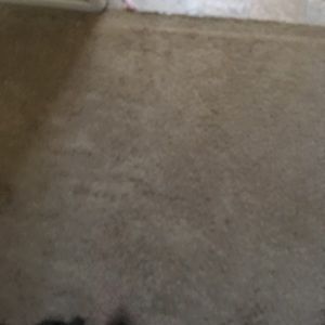 Meet your Posher, Samuel