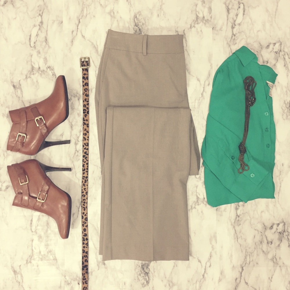 Elegant Ann Taylor Taupe/Tan Trousers