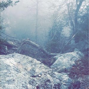 Meet your Posher, Victor