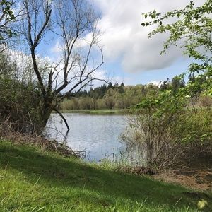 Meet your Posher, Lucy